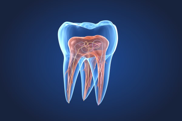 Can A General Dentist In Covina Perform A Root Canal?
